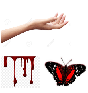 Screen Shot 2018-12-09 at 2.47.13 PM.png